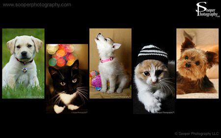 Sooper Photography